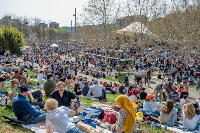 Picnic Jazz 2024