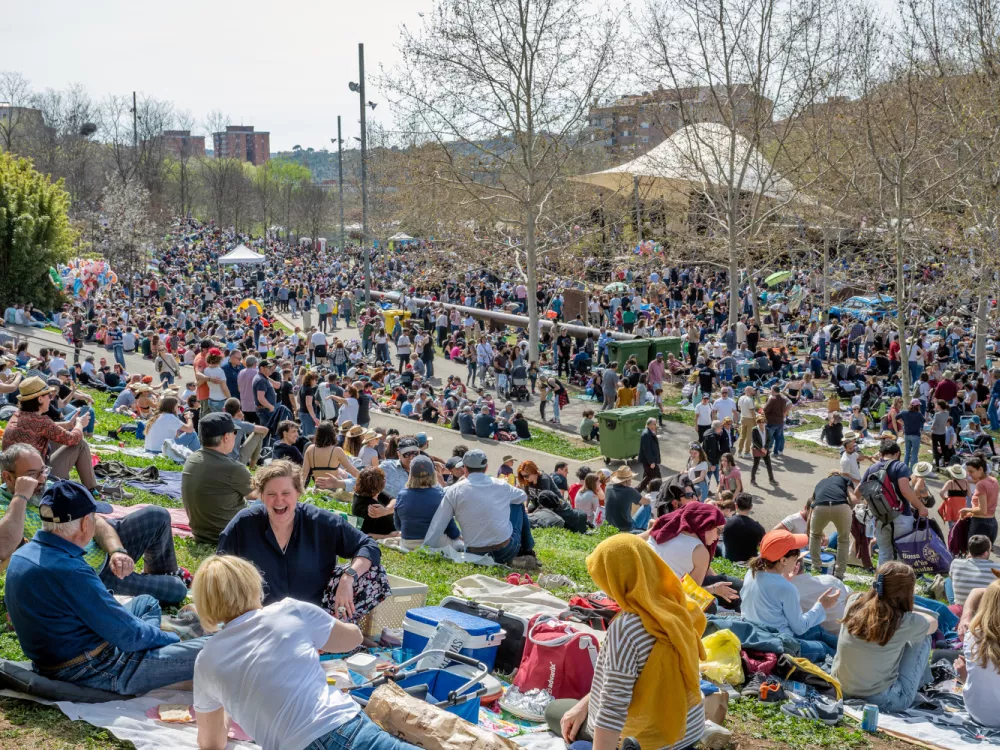 Picnic Jazz 2024