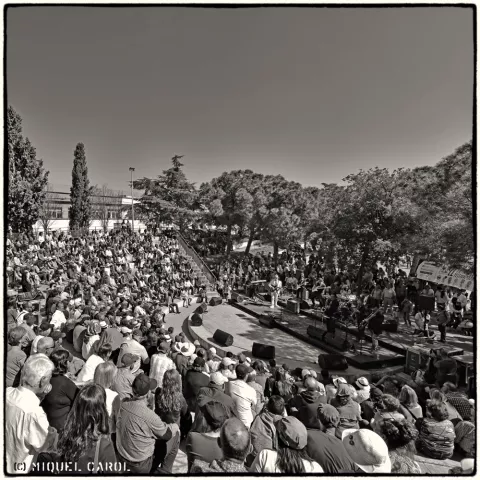 Amadeu Casas Plaça Catalunya 2017