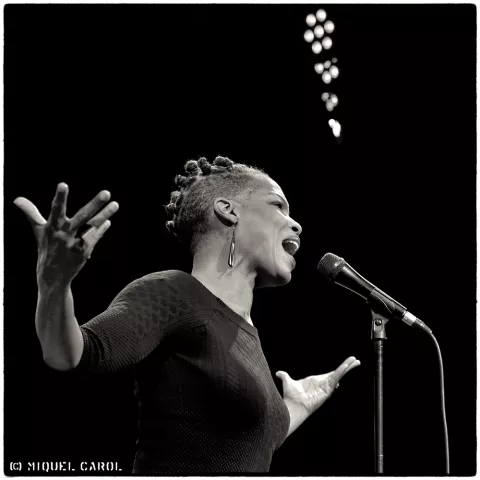Nnenna Freelon