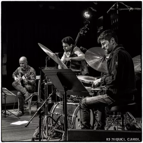 Pau Lligadas Madera Viva