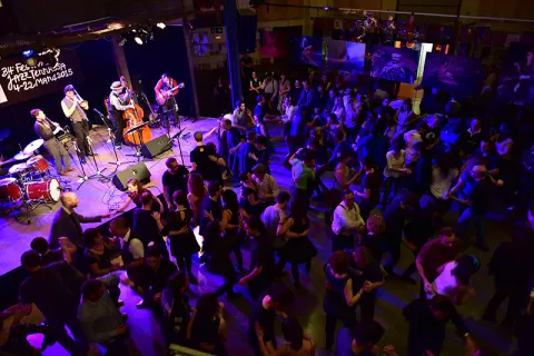 Doc Scanlon's Cool Cat Combo