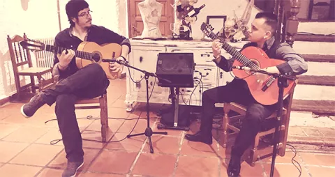 Entre Flamencos