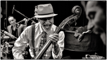 Doc Scanlon´s Cool Cat Combo 2018