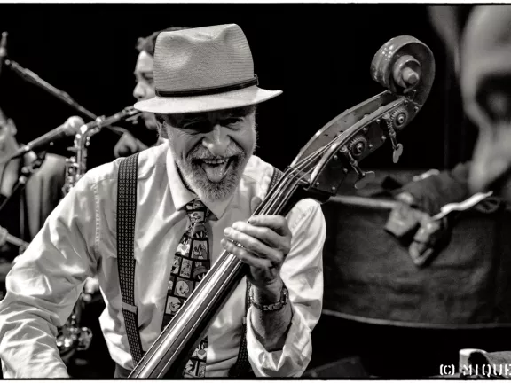 Doc Scanlon´s Cool Cat Combo 2018