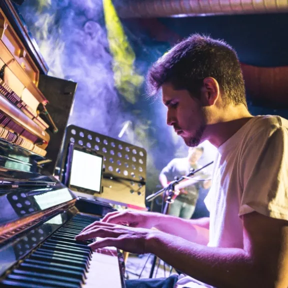 imatge artista/instrument