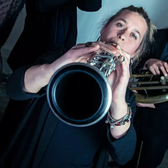 imatge artista/instrument