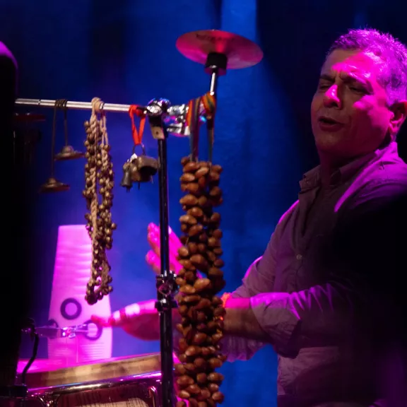 imatge artista/instrument