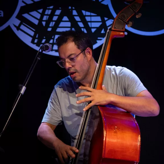 imatge artista/instrument