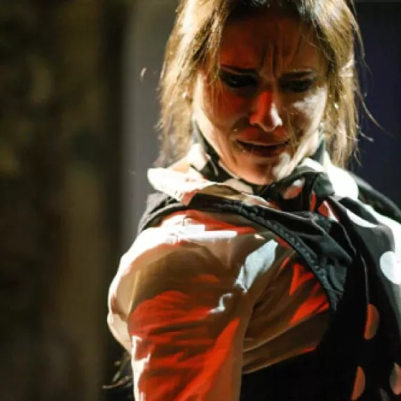 imatge artista/instrument