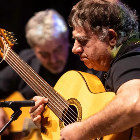 imatge artista/instrument