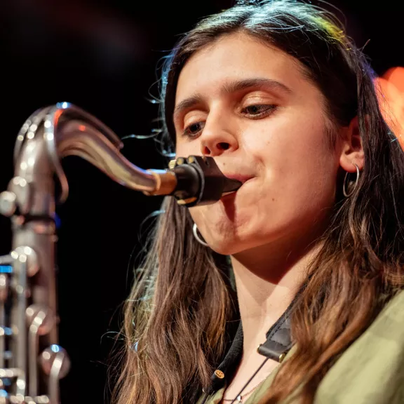 imatge artista/instrument