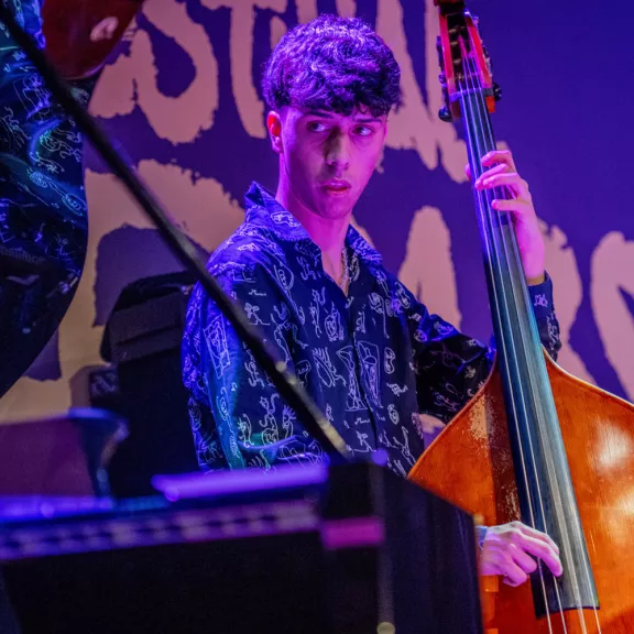 imatge artista/instrument