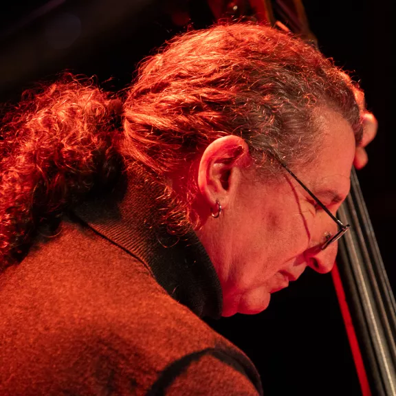 imatge artista/instrument