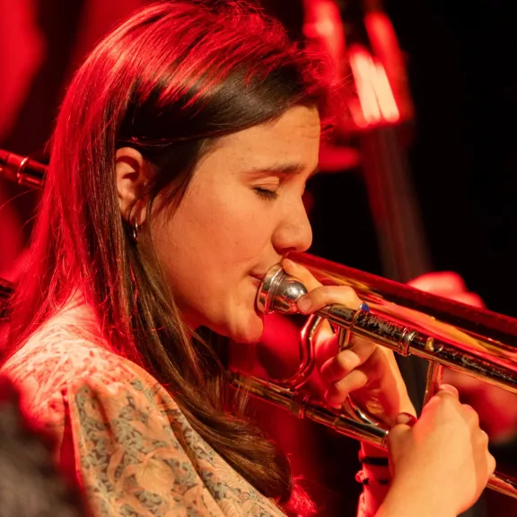 imatge artista/instrument