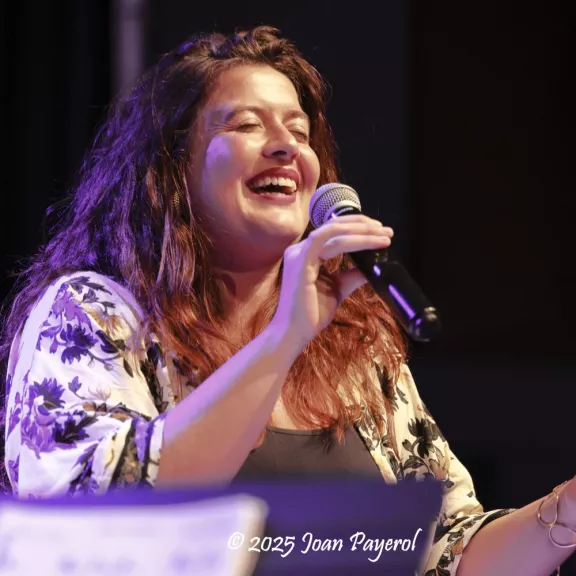 imatge artista/instrument