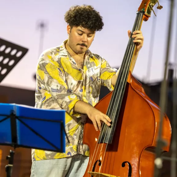 imatge artista/instrument