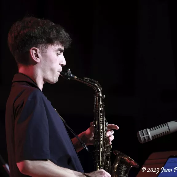 imatge artista/instrument