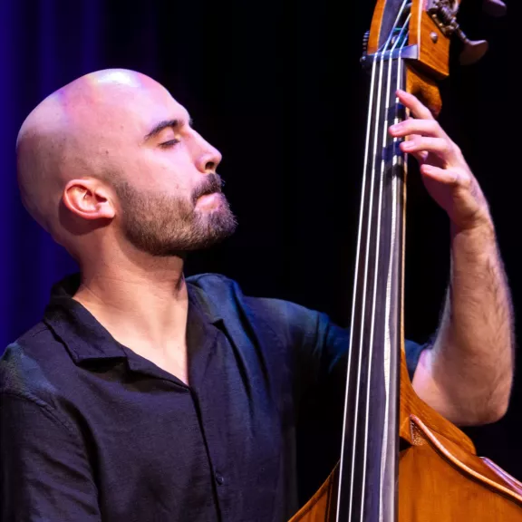 imatge artista/instrument