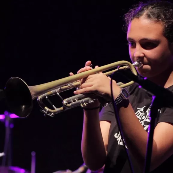 imatge artista/instrument