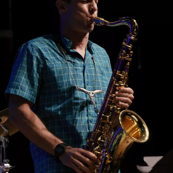 imatge artista/instrument