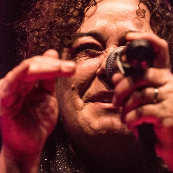 imatge artista/instrument