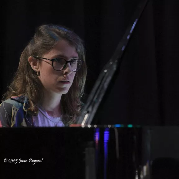 imatge artista/instrument