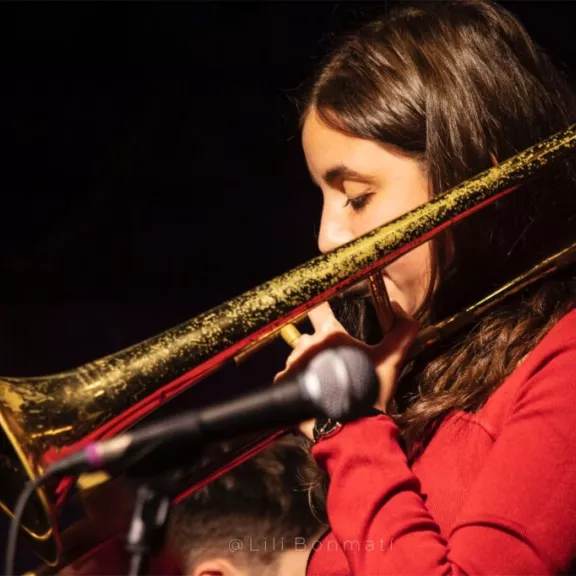 imatge artista/instrument