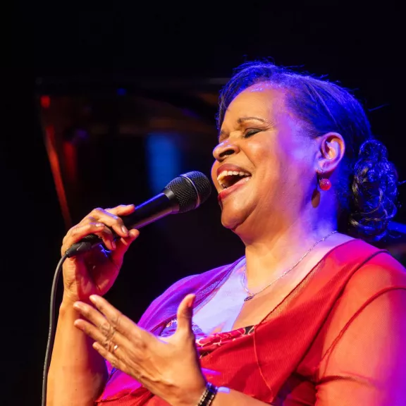 imatge artista/instrument