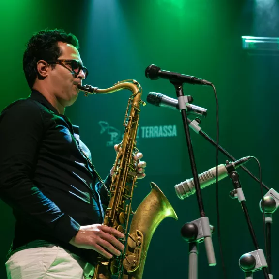 imatge artista/instrument