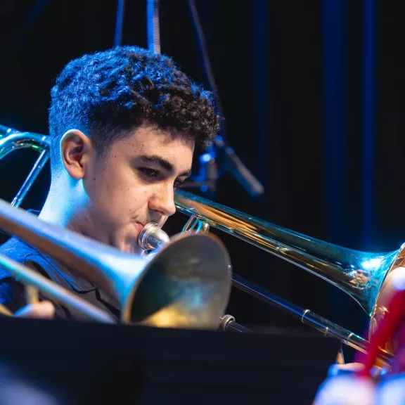 imatge artista/instrument