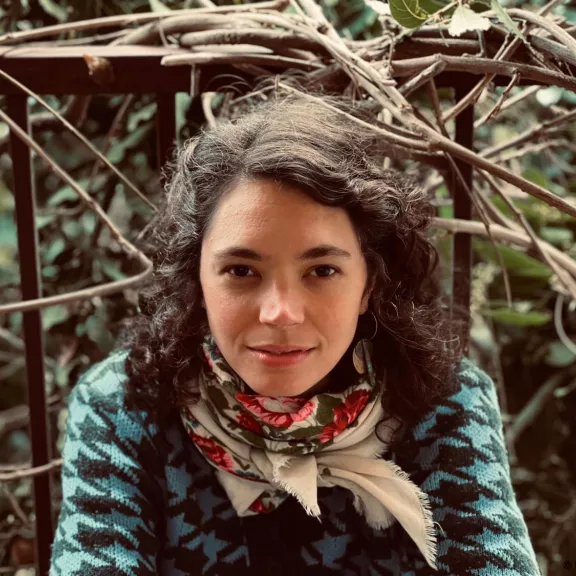 imatge artista/instrument