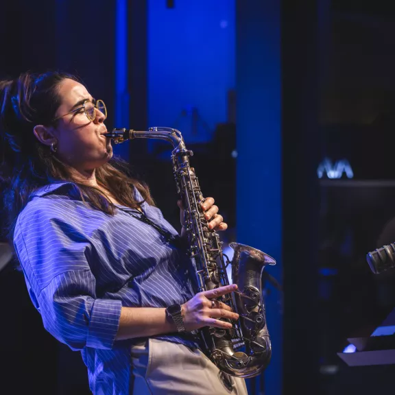 imatge artista/instrument