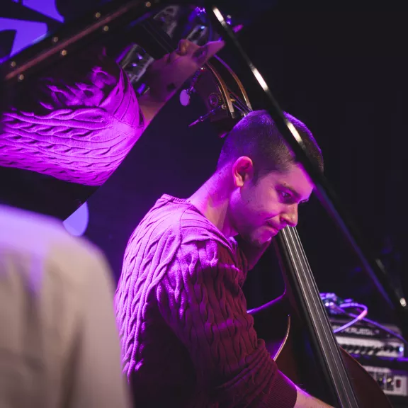 imatge artista/instrument