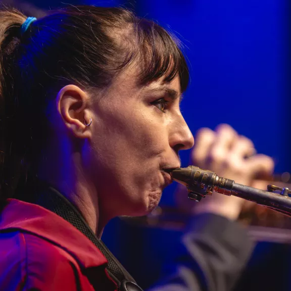 imatge artista/instrument