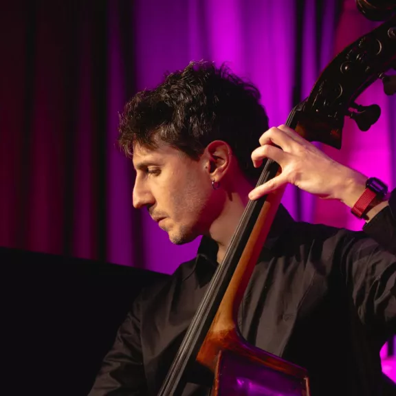 imatge artista/instrument