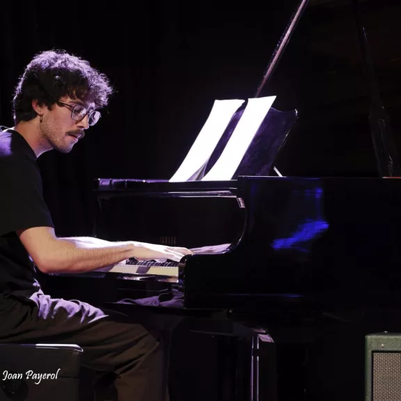 imatge artista/instrument