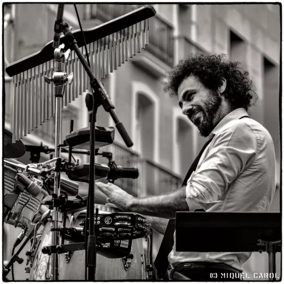 imatge artista/instrument