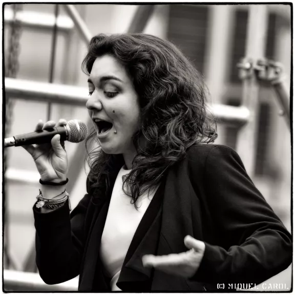 imatge artista/instrument