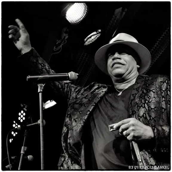 imatge artista/instrument