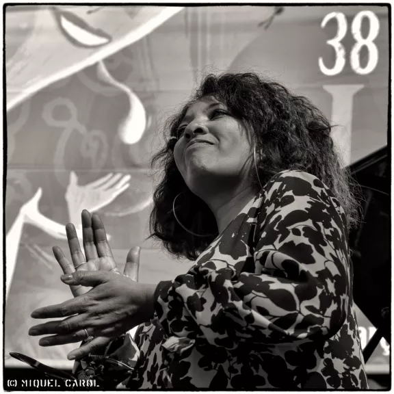 imatge artista/instrument