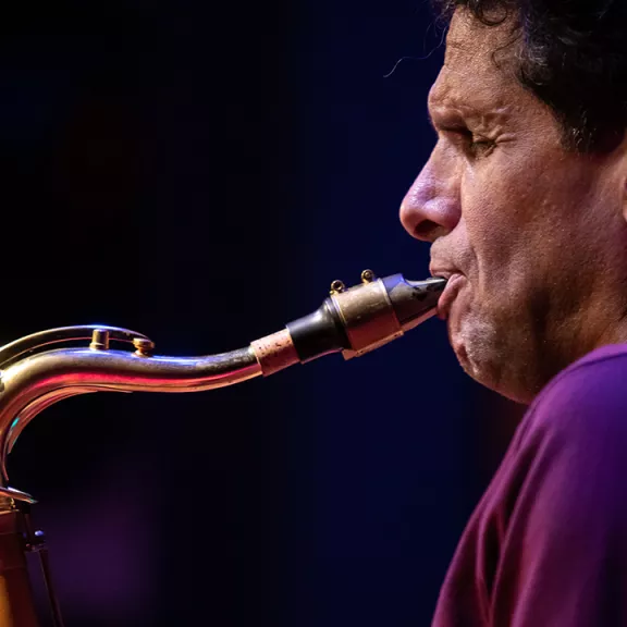 imatge artista/instrument