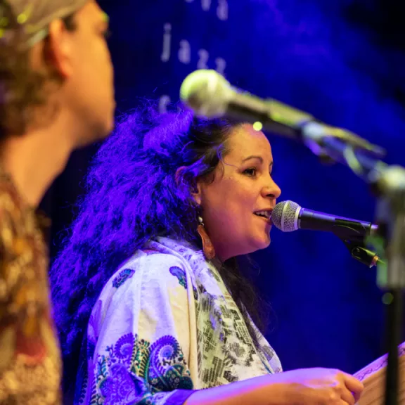 imatge artista/instrument