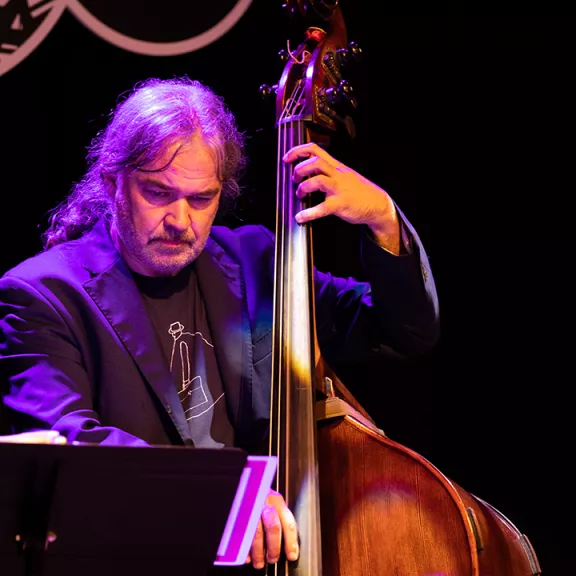 imatge artista/instrument