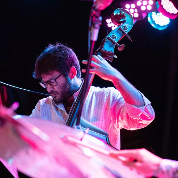 imatge artista/instrument