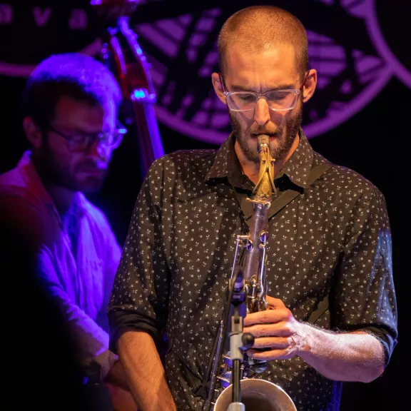 imatge artista/instrument