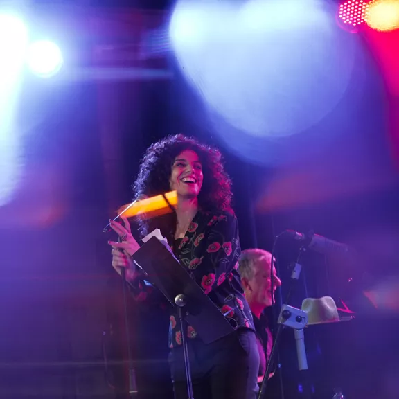 imatge artista/instrument