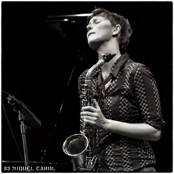 imatge artista/instrument