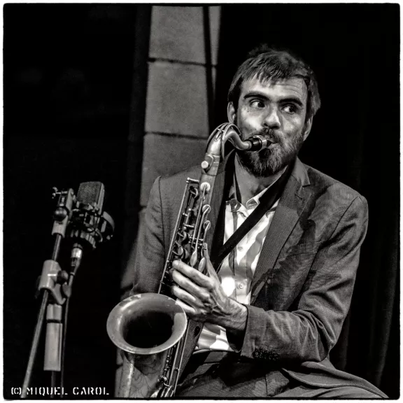 imatge artista/instrument