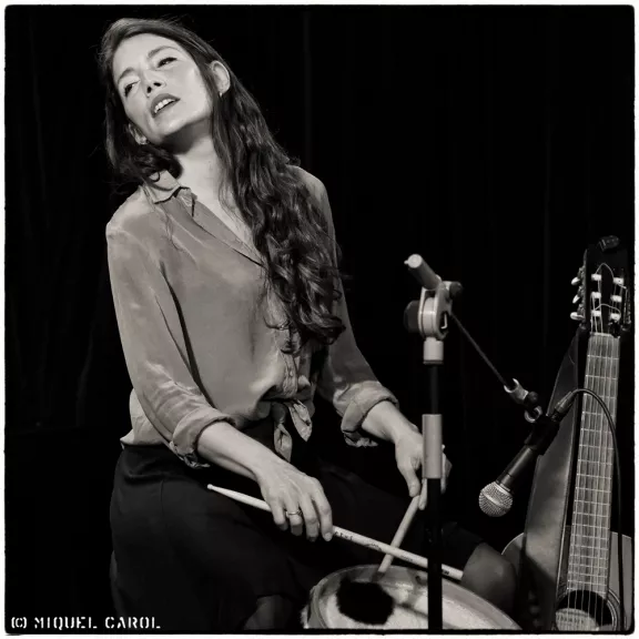 imatge artista/instrument